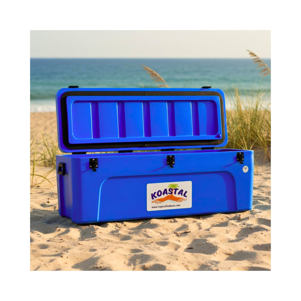 koastal-100l-mackerel-ice-box-on-beach