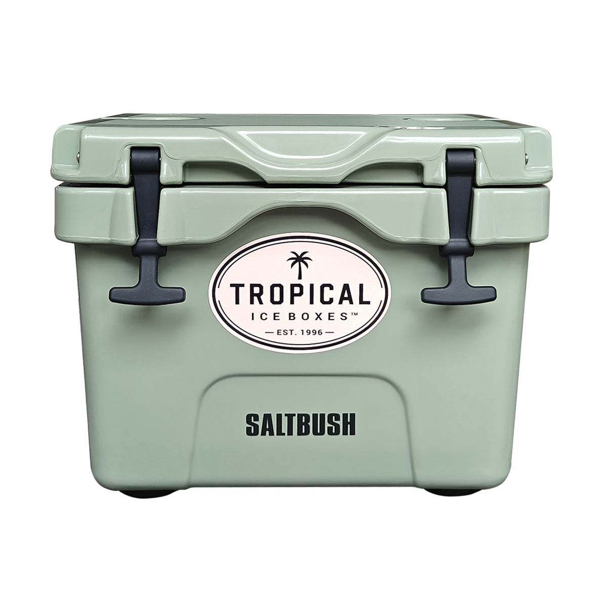 Tropical 15L Lifestyle Ice Box in Saltbush green, front view