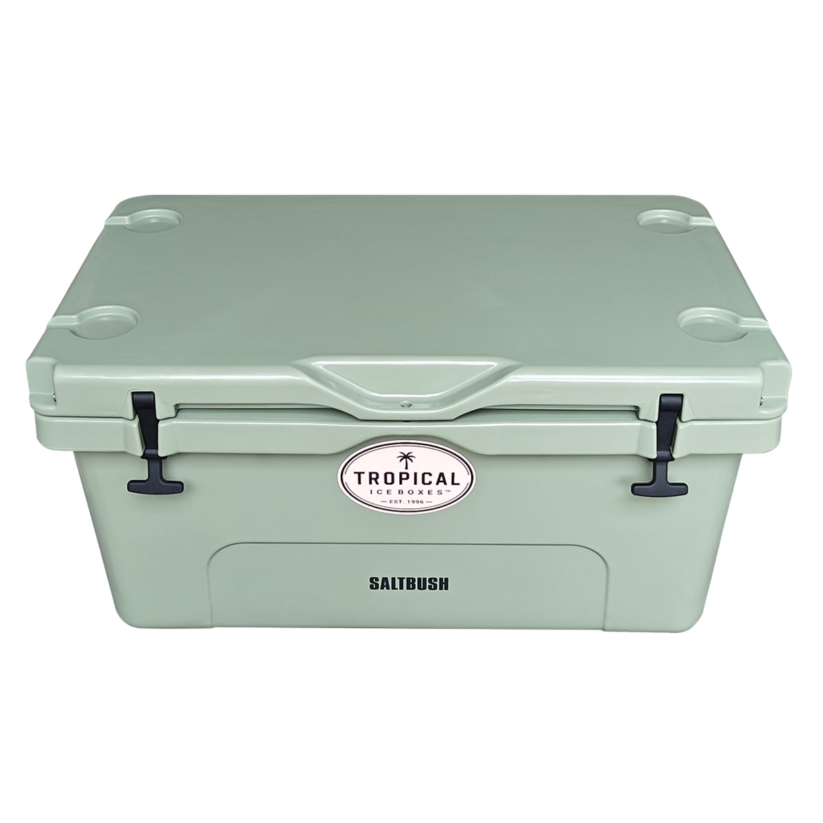 Tropical 65L Lifestyle Ice Box Saltbush top view gallery:saltbush